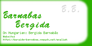 barnabas bergida business card