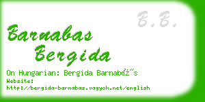 barnabas bergida business card